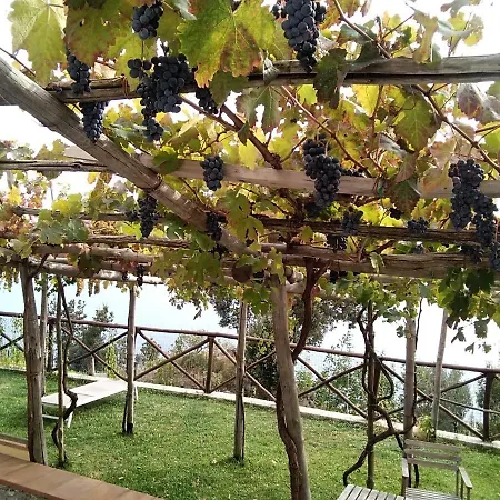 Apartment Pizzo Corvo